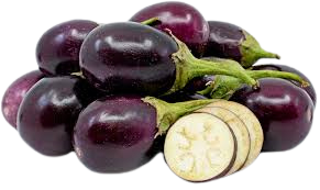 Indian Eggplant