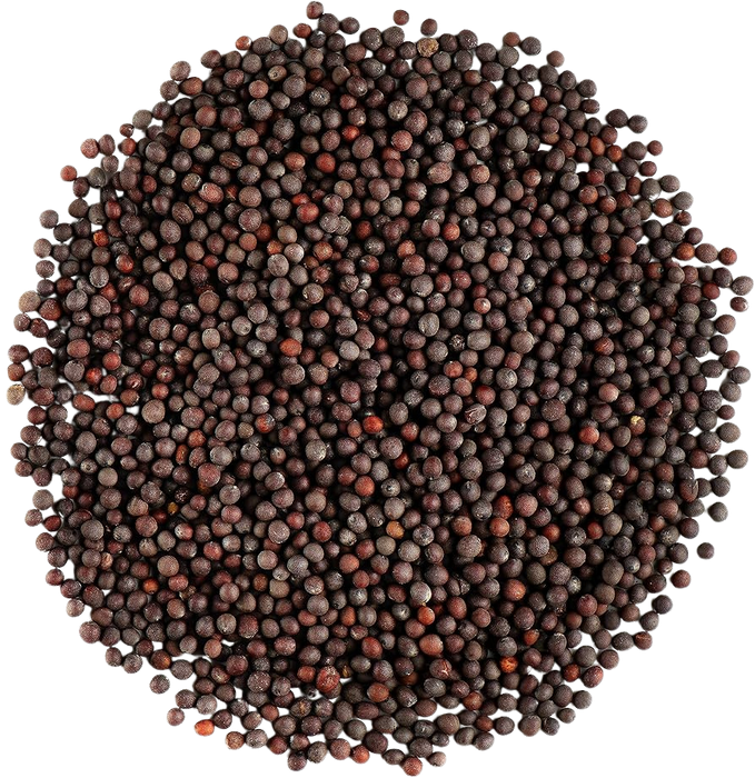 Gajanand Mustard Seeds Bold 200g