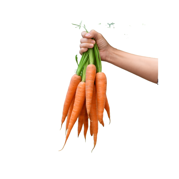 Indian Carrots - Local Grown 1lb