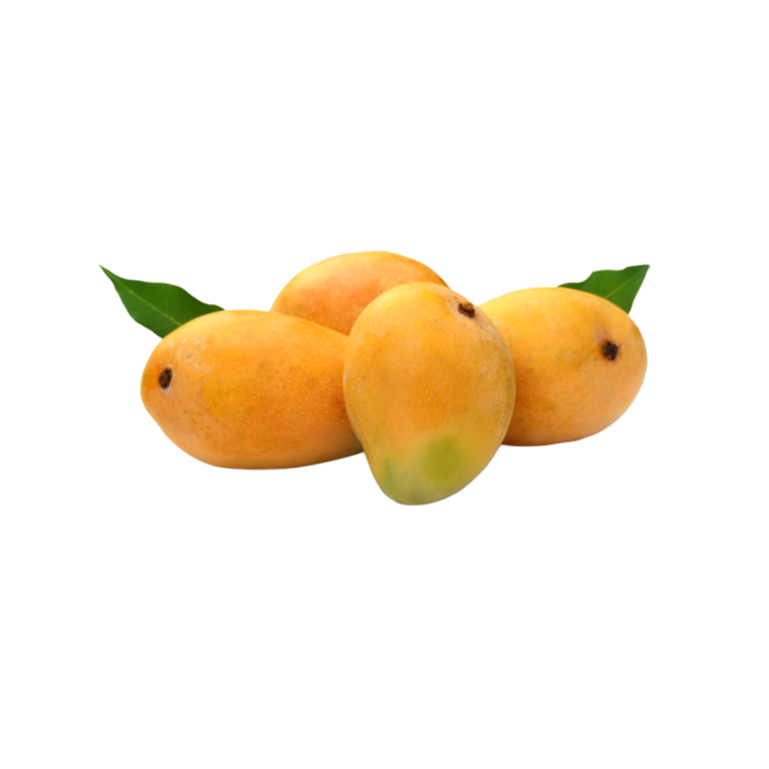 Fresh Alphonso Mango 6Pcs