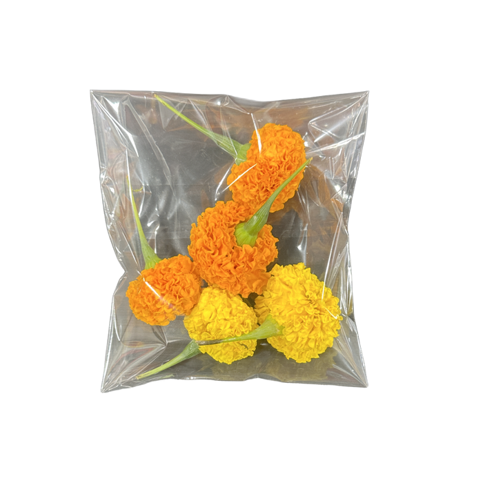 Marigold Flower