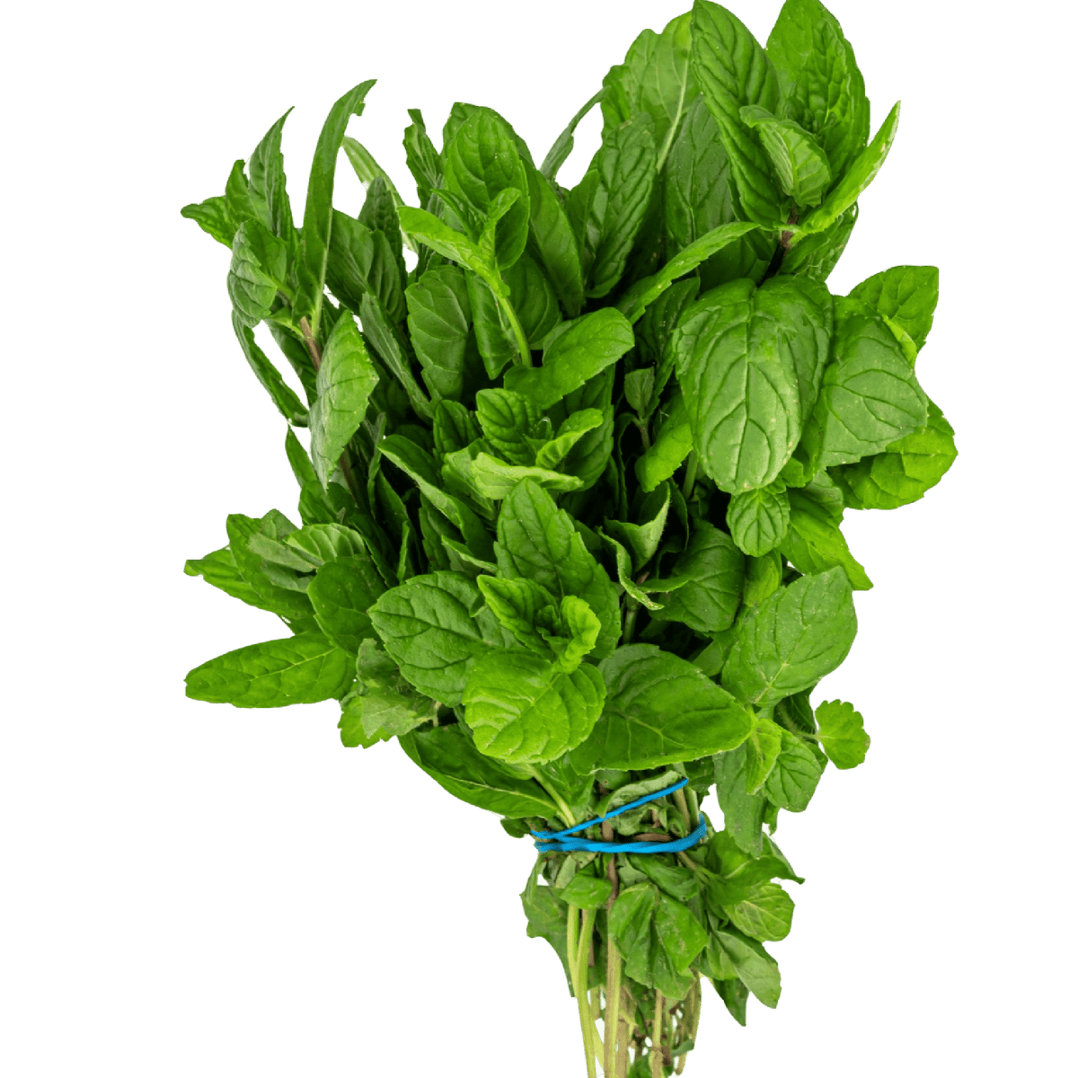 Gourmet Mint Leaf Whole