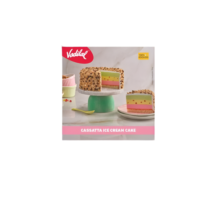 Vadilal Cassatta Ice Cream Cake 500ml