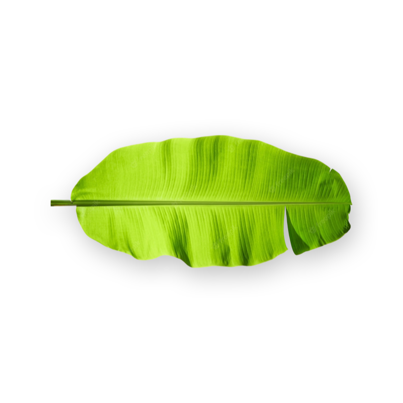 Fresh Banana Leaf — Spice Divine